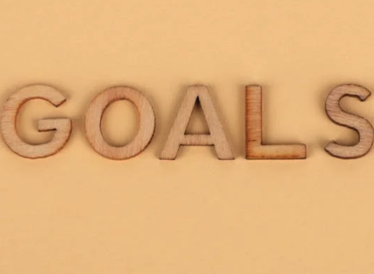 website goal tracking